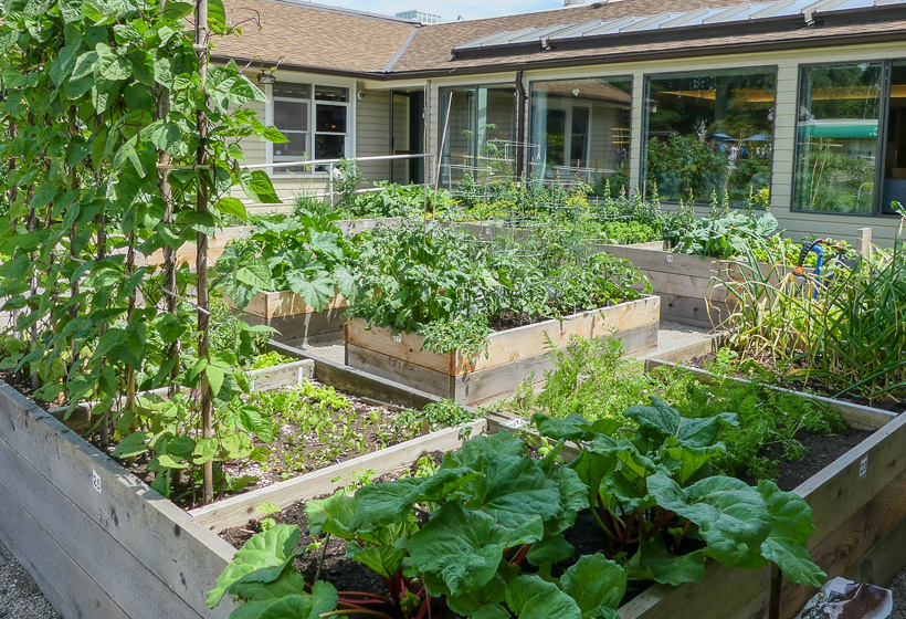 Learning Garden